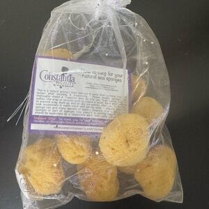 Natural Sea Sponges - Yellow
